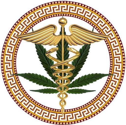 Vincenzo Perrone MD Bradenton Medical Marijuana Clinic | Bradenton