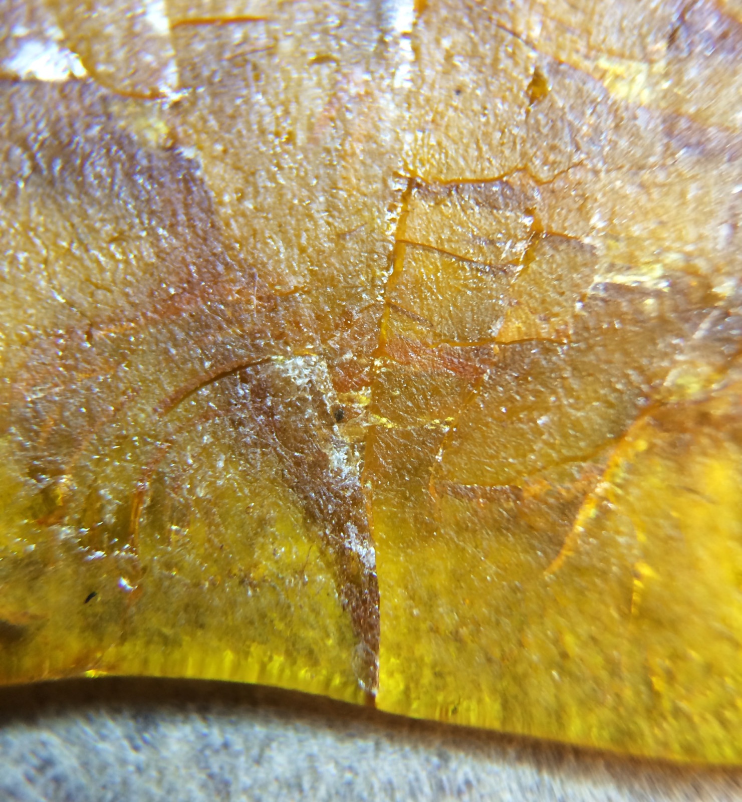 Blue Dream Product image