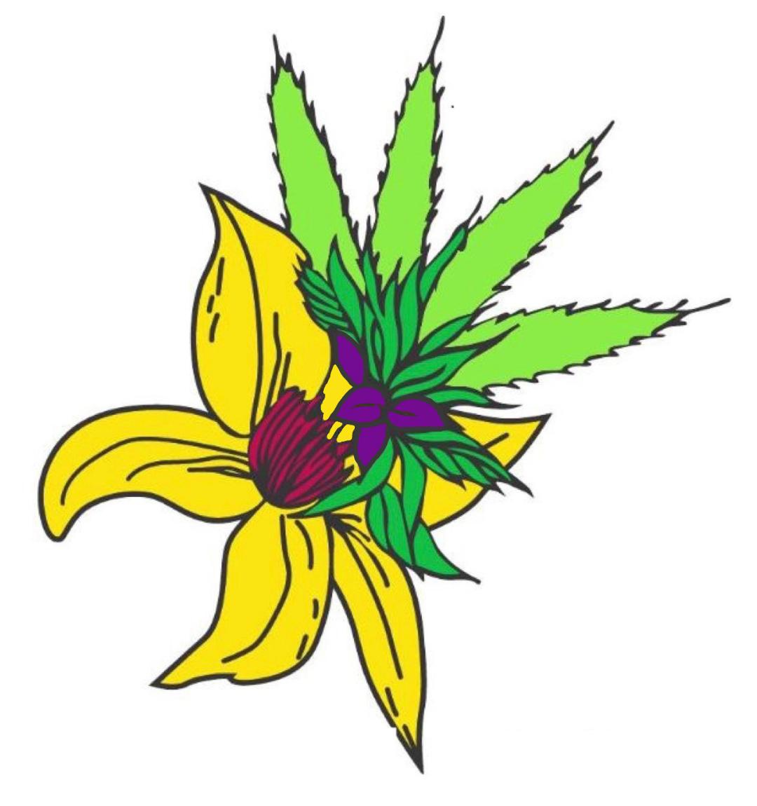 Blooming Buds Harrisville, MI Dispensary AllBud