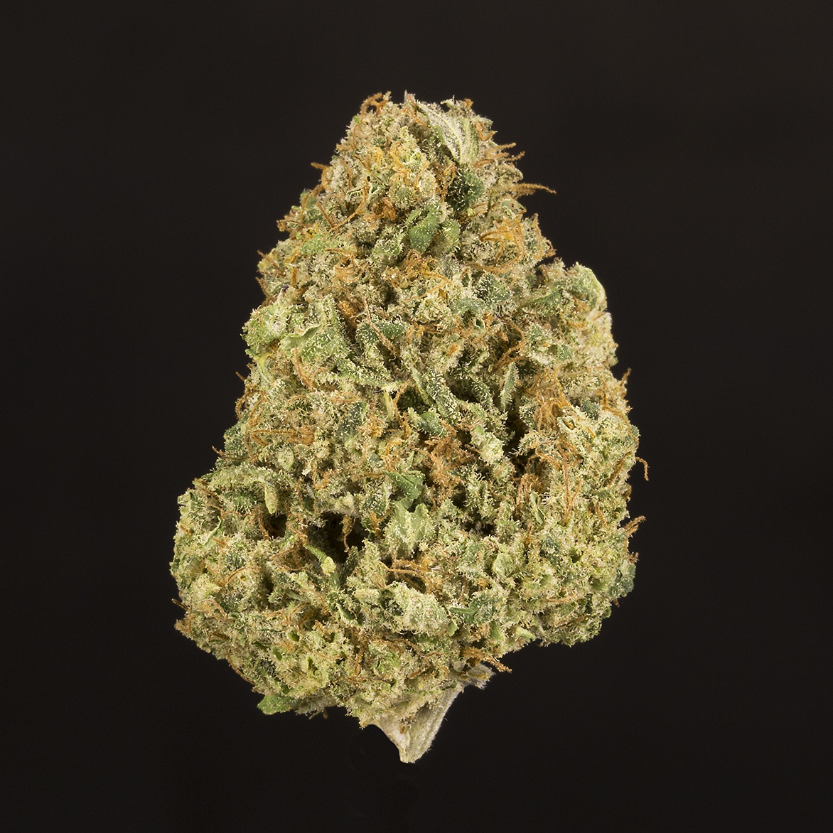 ACDC (AU Limit: 3.5g TOTAL flower and 10 - .75 pre rolls / No Med Limit) Product image