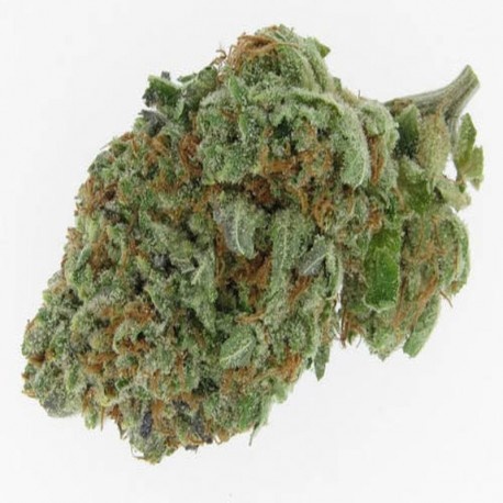 Alien OG Product image