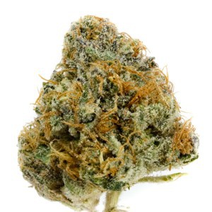 Alien OG Product image