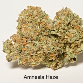 Amnesia Haze Product image