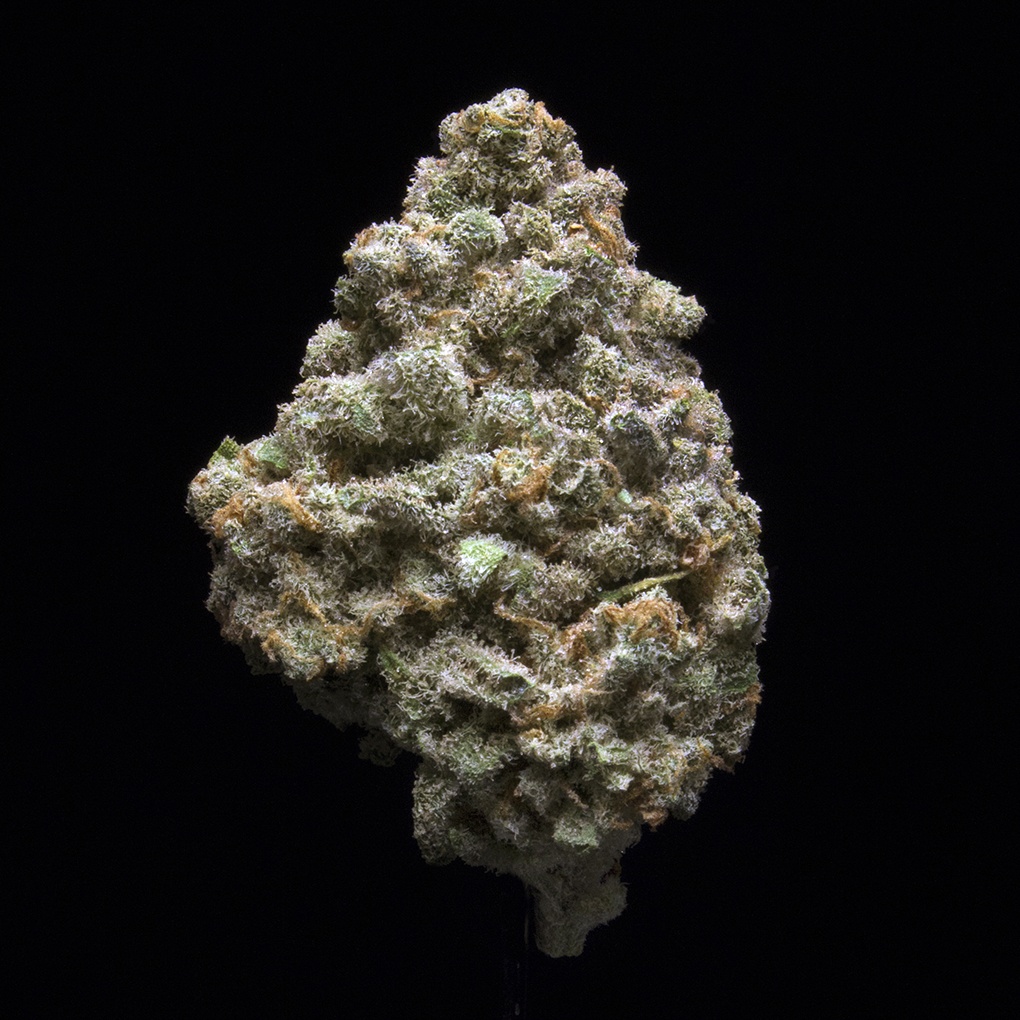 Arcata Trainwreck (AU Limit: 3.5g Flower and 3.5g Shake and 10 - 0.75 pre rolls / No Med Limit) Product image