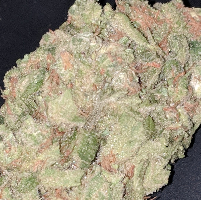 Blue Dream (FREE) Product image