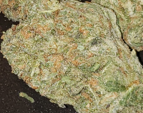 Blue Dream (FREE) Product image