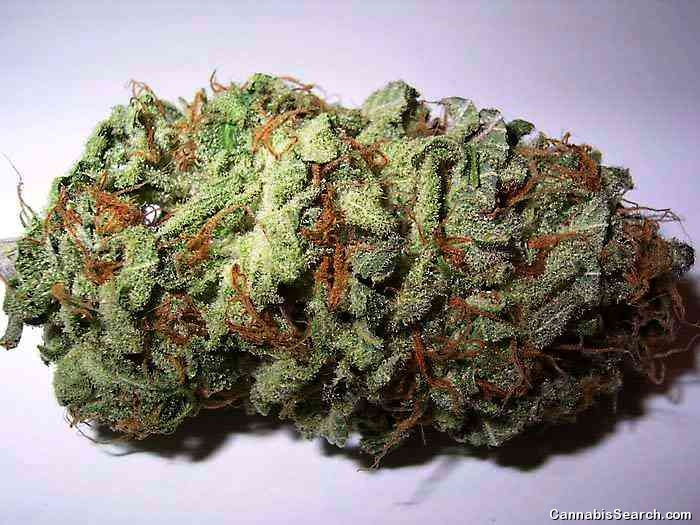 Blue Dream Product image