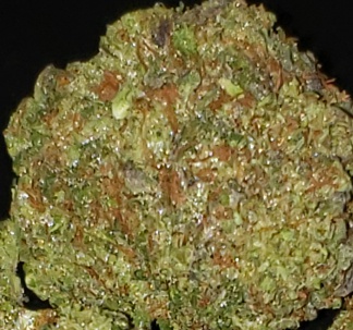 Blue Magoo (FREE) Product image