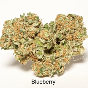 Blueberry Product image