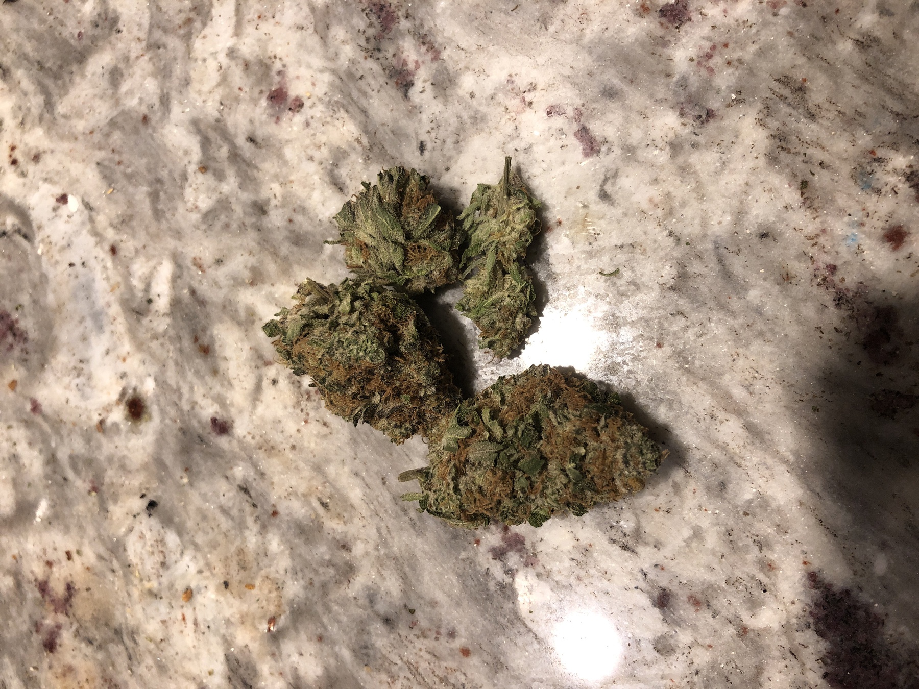Blueberry Product image