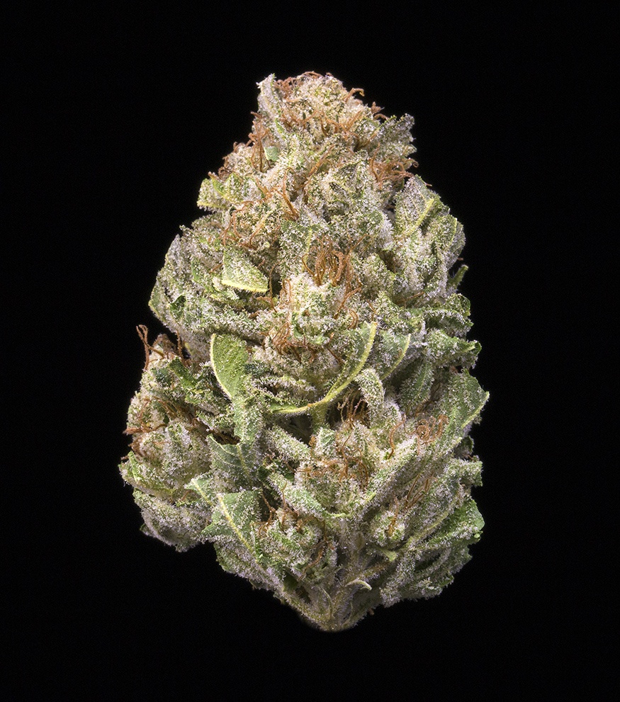 Bruce Banner (AU Limit: 3.5g TOTAL flower and 10 - 0.75 pre rolls / No Med Limit) Product image
