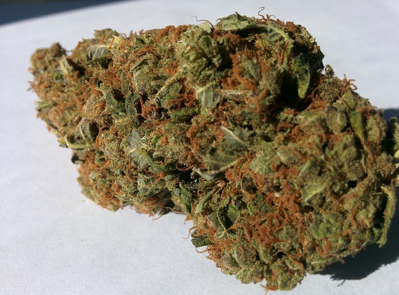 Juicy Fruit Marijuana Strain Reviews AllBud