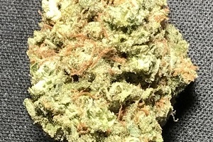 diesel strain nyc marijuana allbud