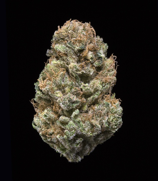 Deadhead OG Marijuana Strain Reviews AllBud