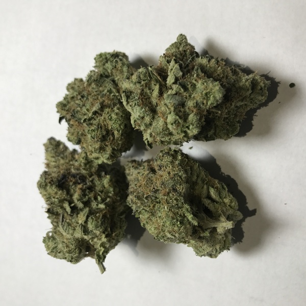 Thin Mint Marijuana Strain Reviews AllBud