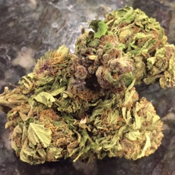 Grapefruit Marijuana Strain Reviews AllBud