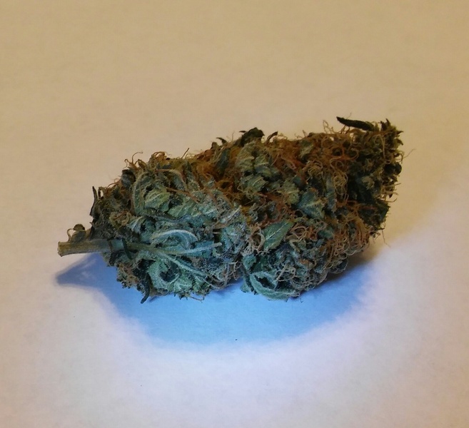 Skywalker OG Marijuana Strain Reviews AllBud