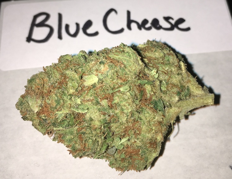 Blue Cheese Marijuana Strain Reviews AllBud