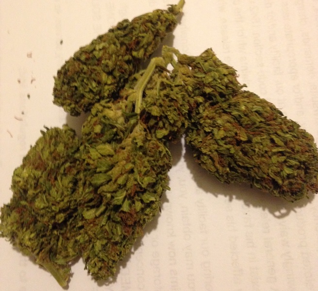 Strawberry Diesel Marijuana Strain Reviews AllBud