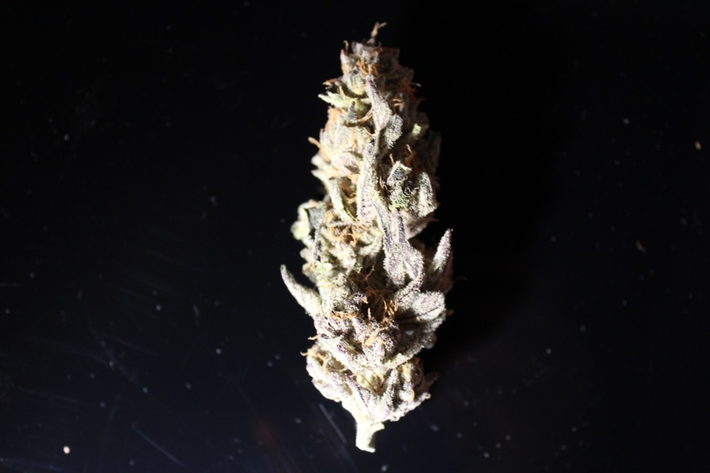 Cookie OG Marijuana Strain Reviews AllBud