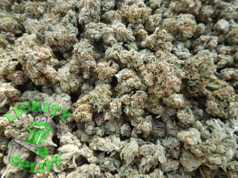Animal Cookies Marijuana Strain Reviews AllBud