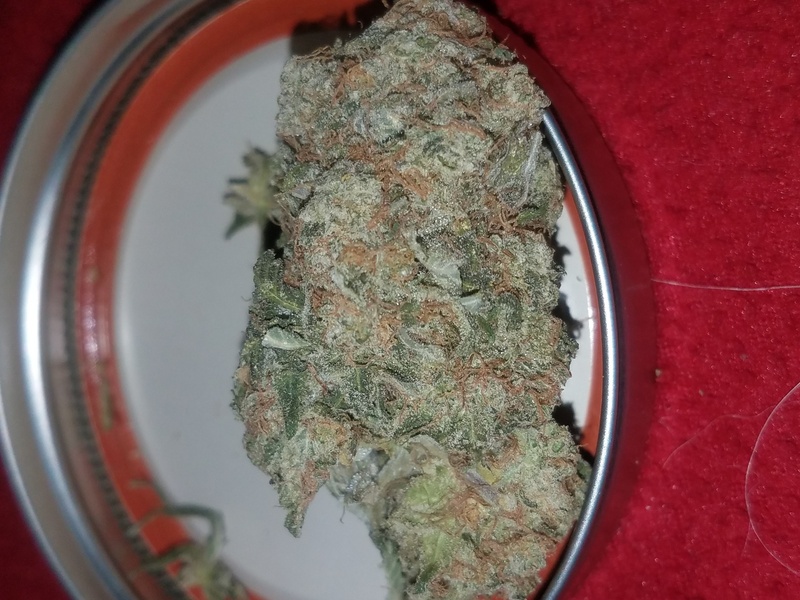 Mango Haze Marijuana Strain Reviews AllBud