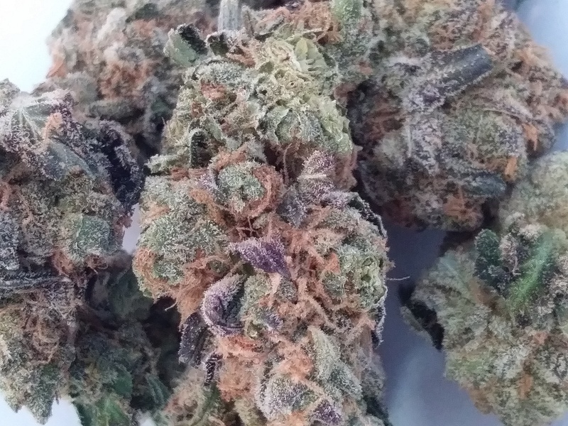 Blue Cookies Marijuana Strain Reviews AllBud