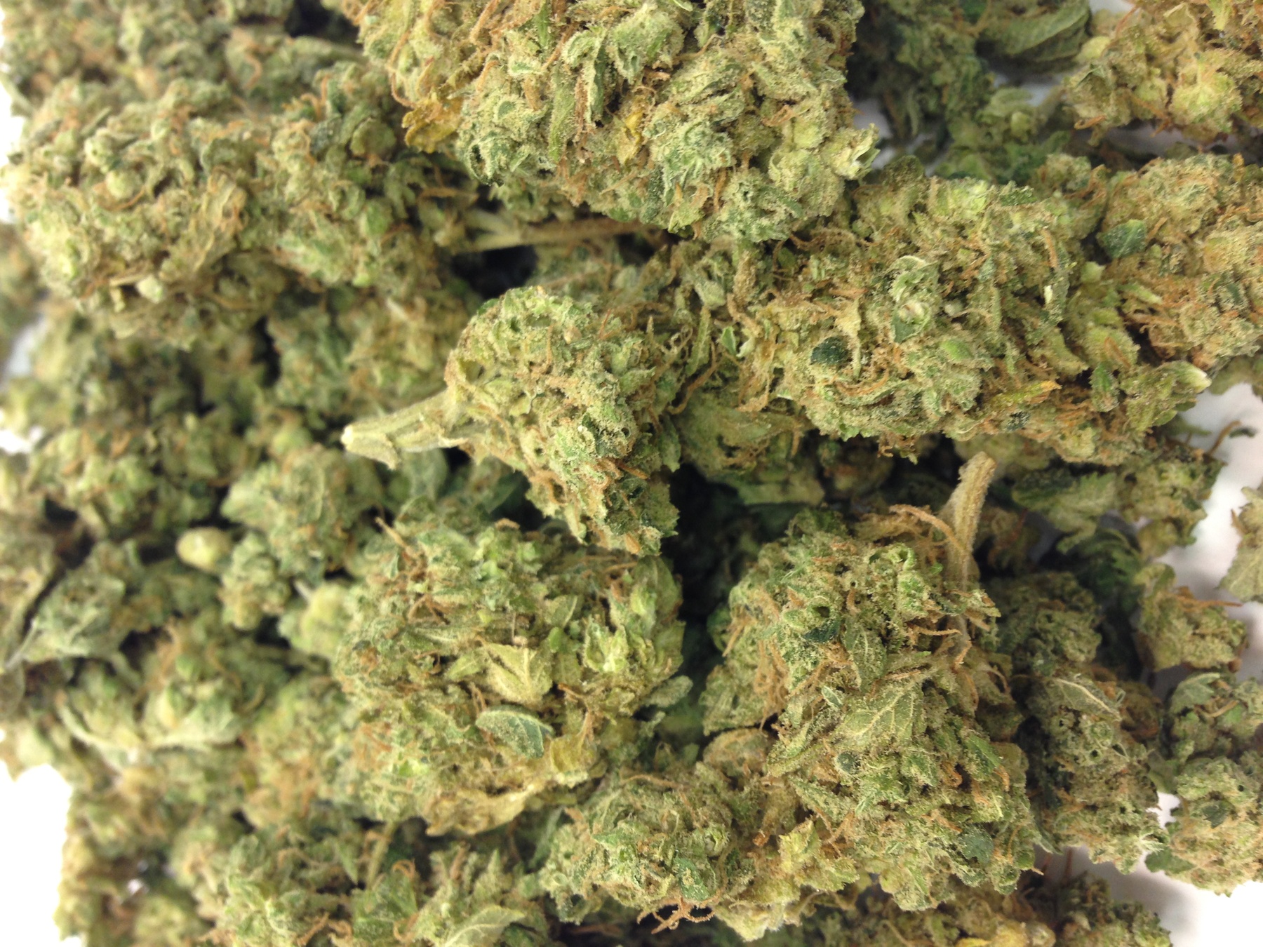 Marijuana Flower CandyLand Better Days Provision Center AllBud