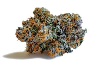 CBD Punch Product image
