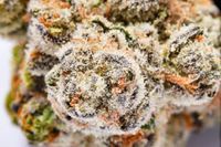 Chemdawg #4 Product image