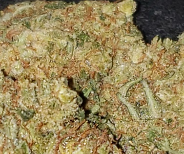 Cherry Pie (FREE) Product image