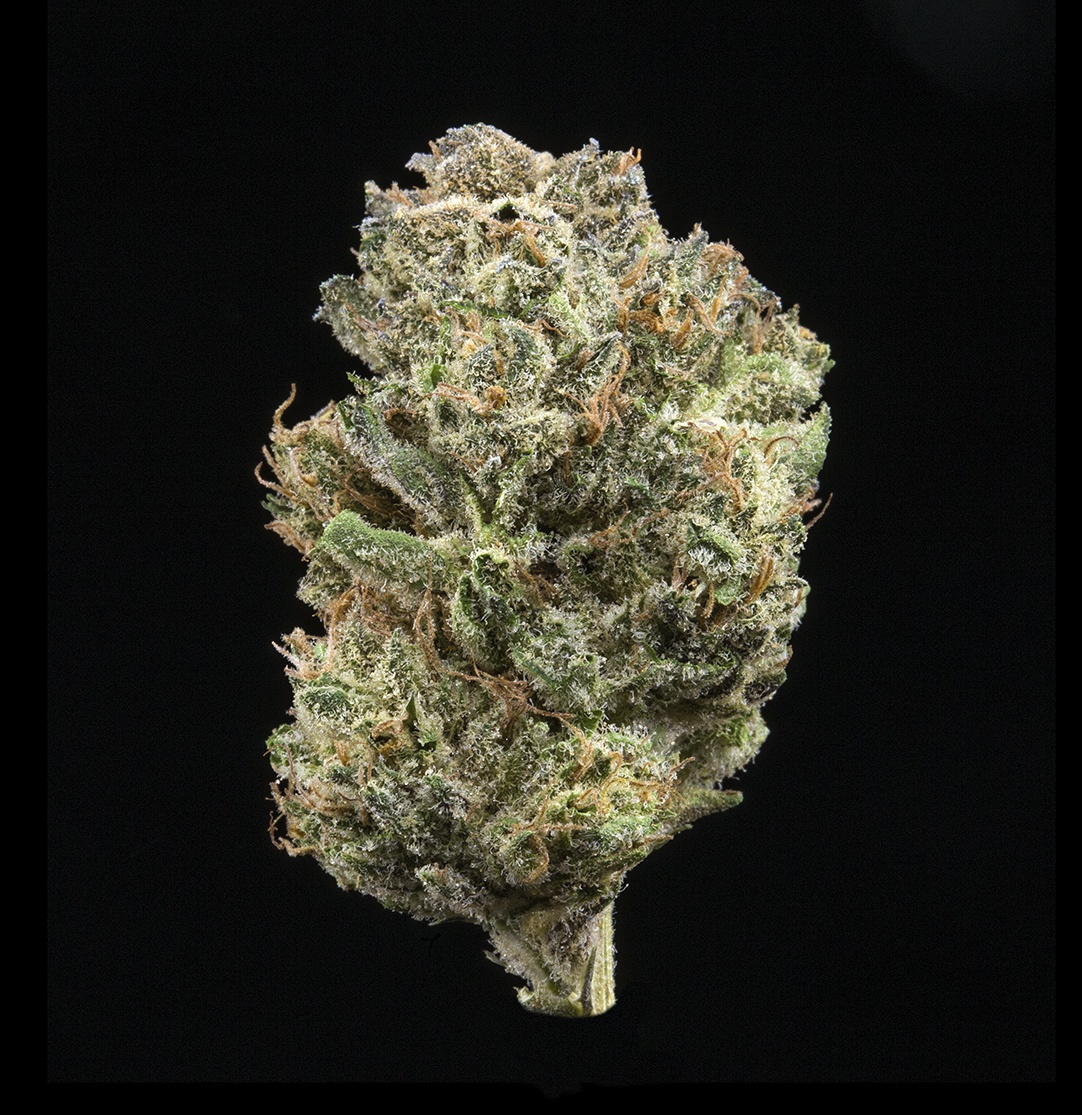 Citrix (AU Limit: 3.5g TOTAL Flower and 3.5g TOTAL Shake and 10 - 0.75 pre rolls / No Med Limit) Product image