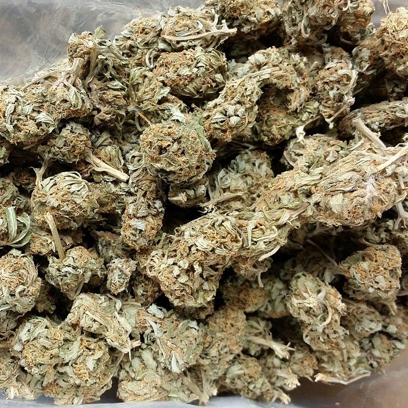 Critical Kush Product image