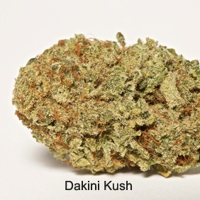 Dakini Kush Product image