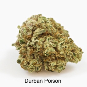Durban Poison Product image