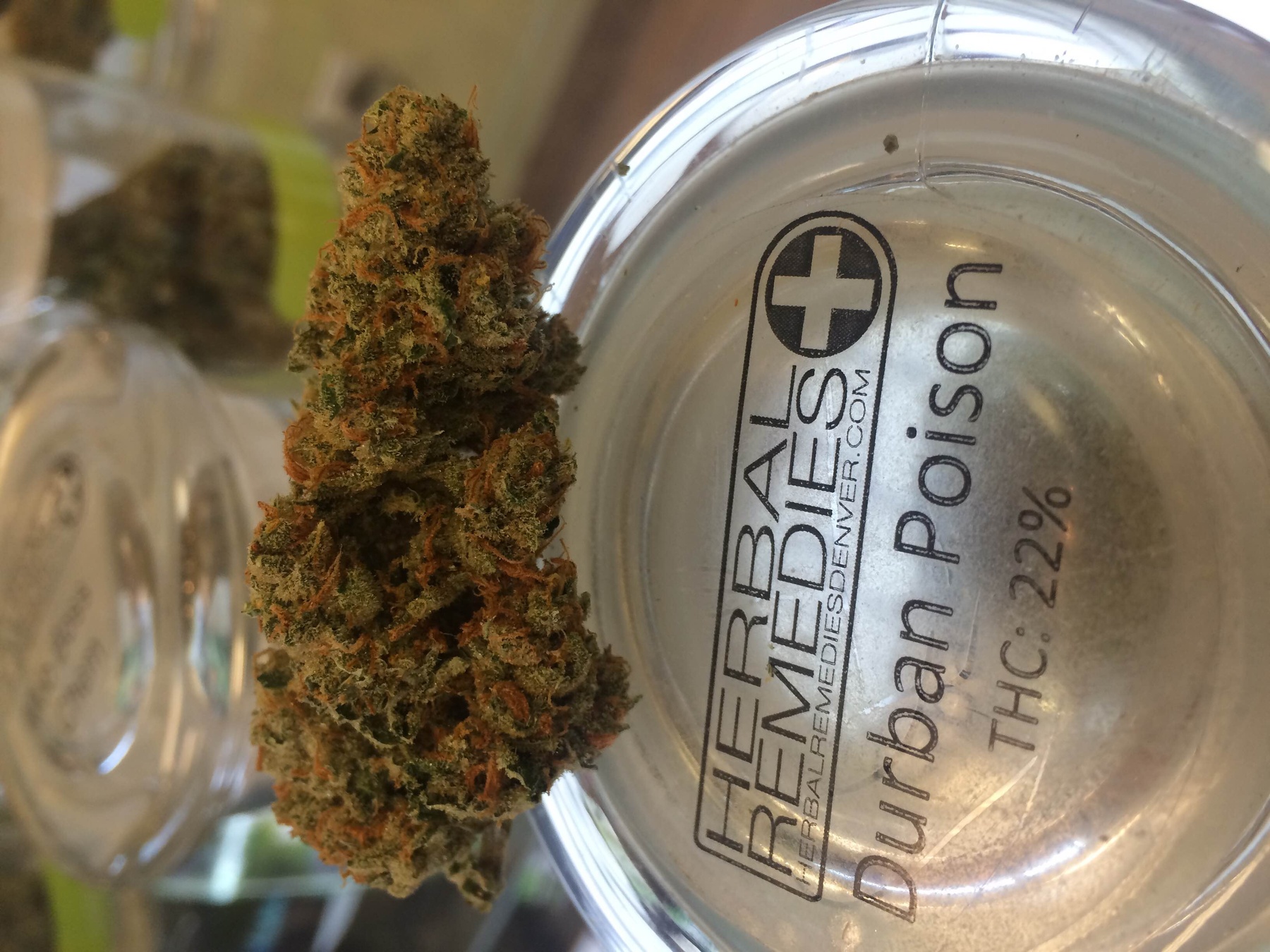 Durban Poison Herbal Remedies Denver AllBud