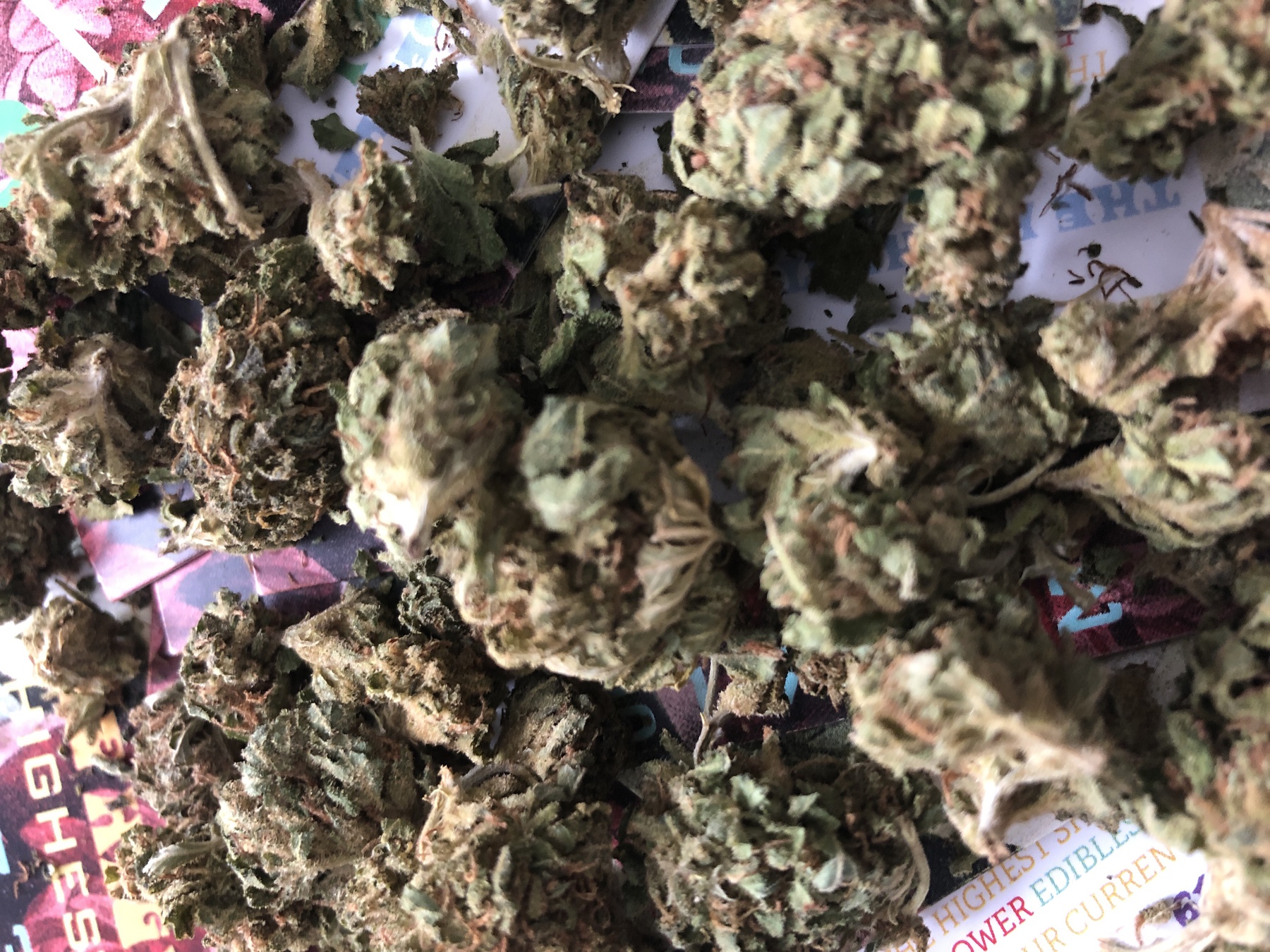 Durban Poison Product image