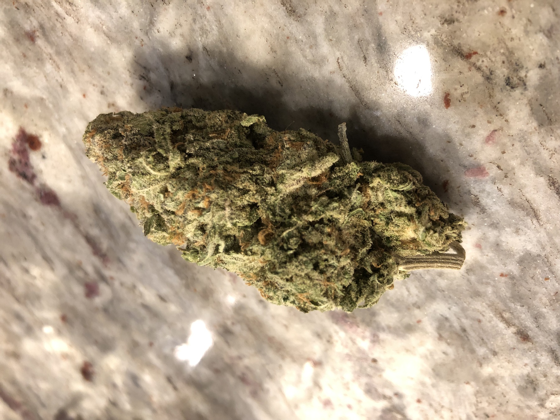 Exotic Purple Kush Product image