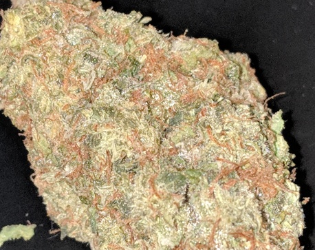 Fire OG (FREE) Product image