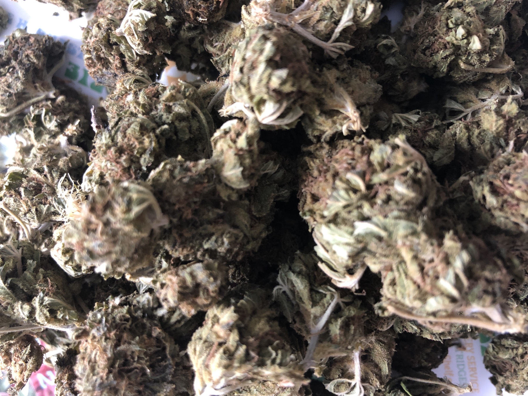 Gelato Product image