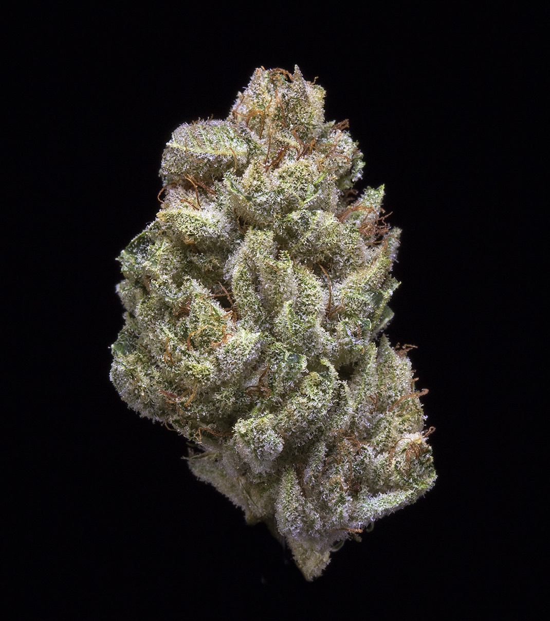 GG#4 (AU Limit: 3.5g TOTAL Flower and 3.5g TOTAL Shake and 10 - 0.75 pre rolls / No Med Limit) Product image