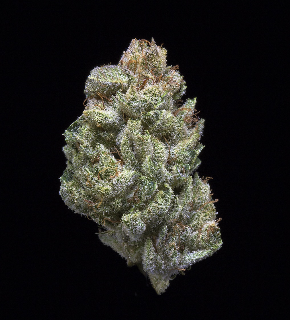 GG#4 (AU Limit: 3.5g Flower TOTAL / No Med Limit) Product image
