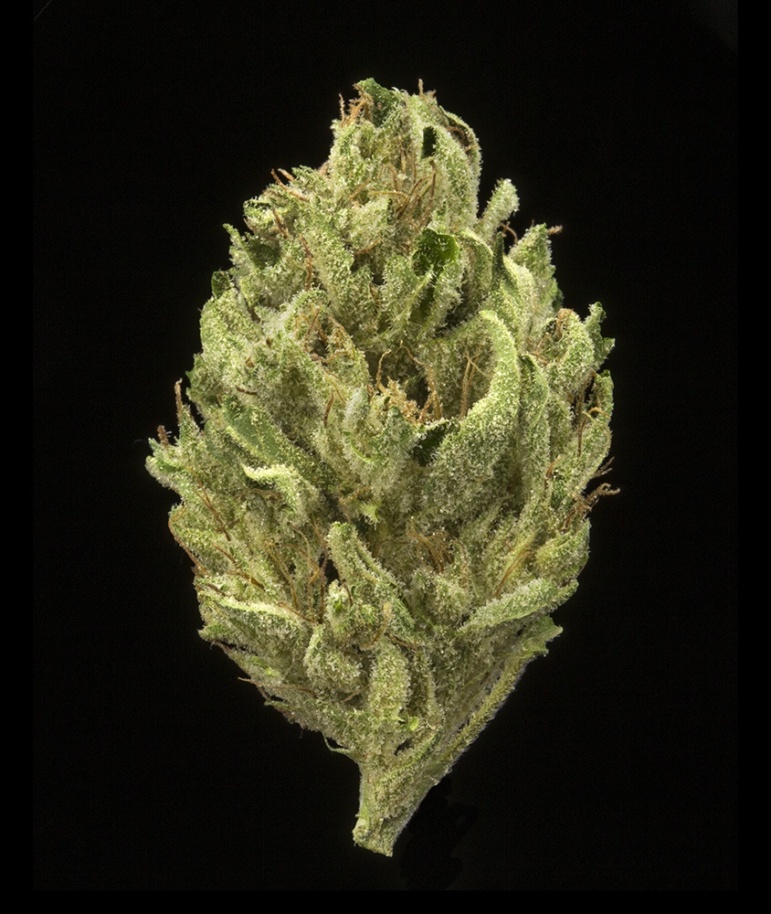 Ghost Train Haze (AU Limit: 3.5g Flower and 3.5g Shake and 10 - 0.75G pre rolls / No Med Limit) Product image