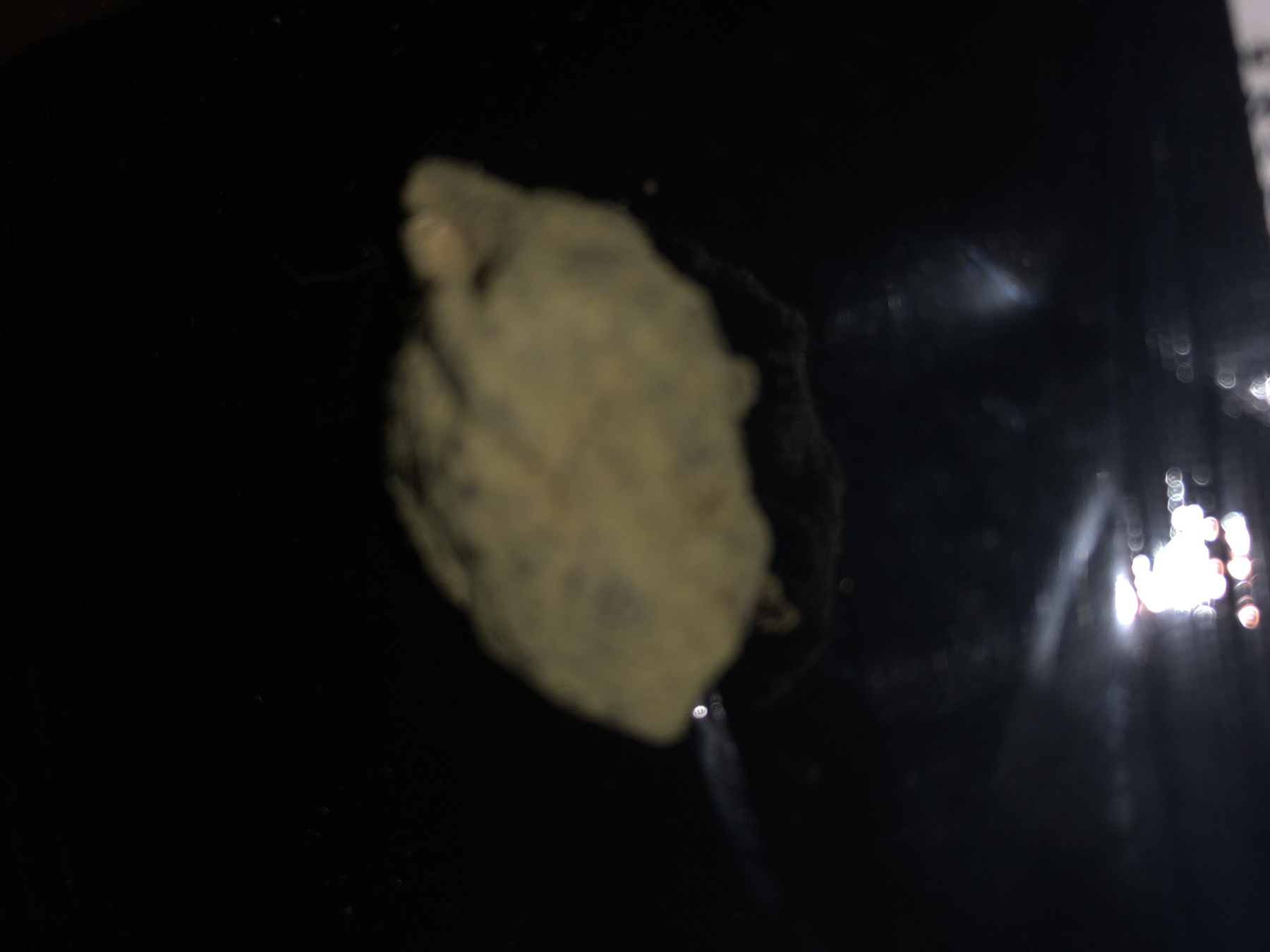 Girl Scout Cookies Moon Rocks Product image