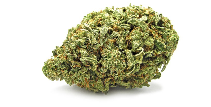 Gorilla Glue #4 Product image