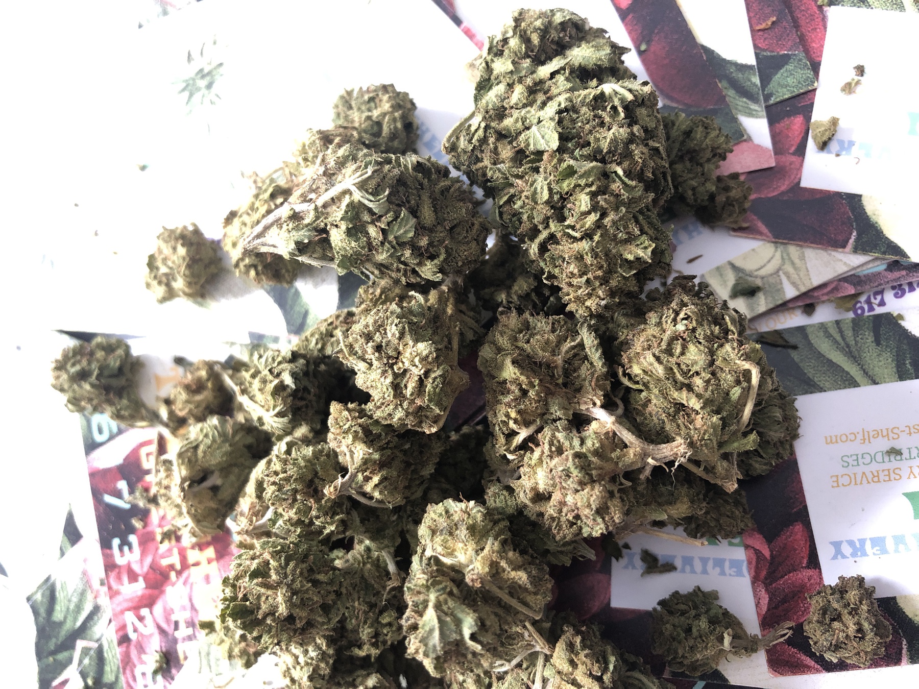 Great White Shark Product image