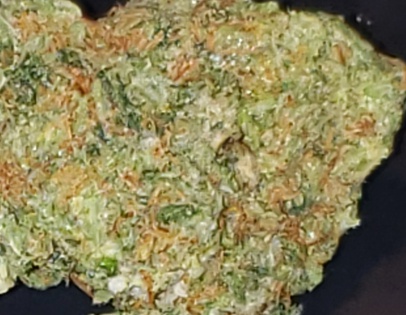 Green Dream (FREE) Product image