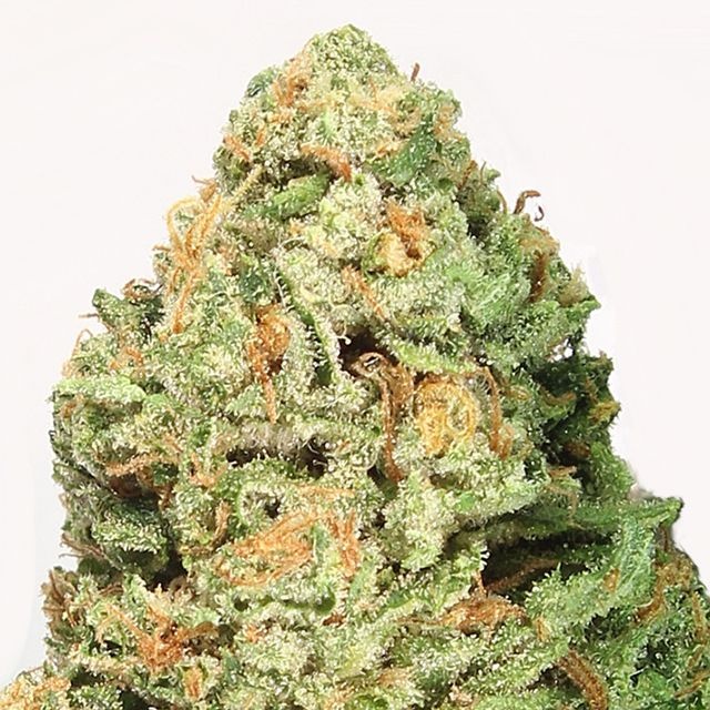Heavyweight Fruit Punch Product image