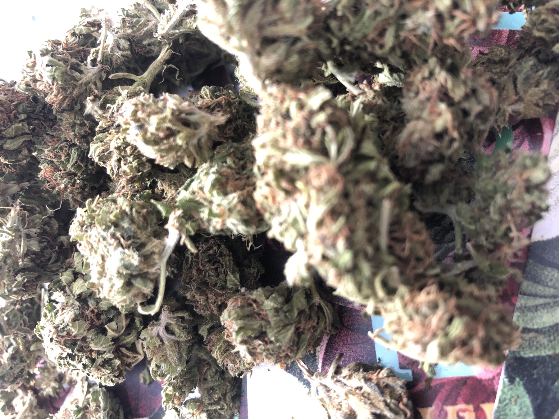 Hippie Crippler (Wheelchair) Product image