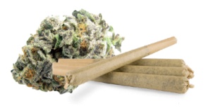(Pre-Rolls): Mimosa Product image